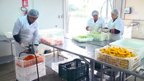 Cooperativas selecionam e distribuem os alimentos que chegam a mesa dos consumidores, Foto: Henrique Cerqueira