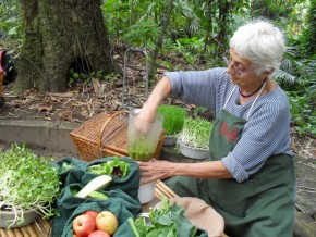 Ana Branco fala sobre a 'alimentos verdes'