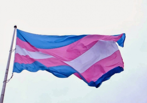 bandeira do orgulho trans