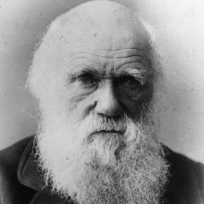 Charles Darwin propôs que o homem e os grandes macacos descendiam de um ancestral comum e causou polêmica com a igreja.