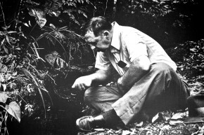 Augusto Ruschi, o ambientalista dos beija-flores