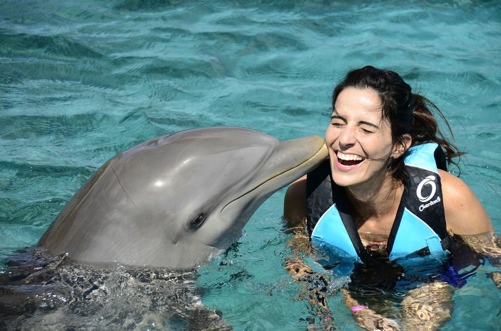 Juliana Franqueira nada com golfinhos