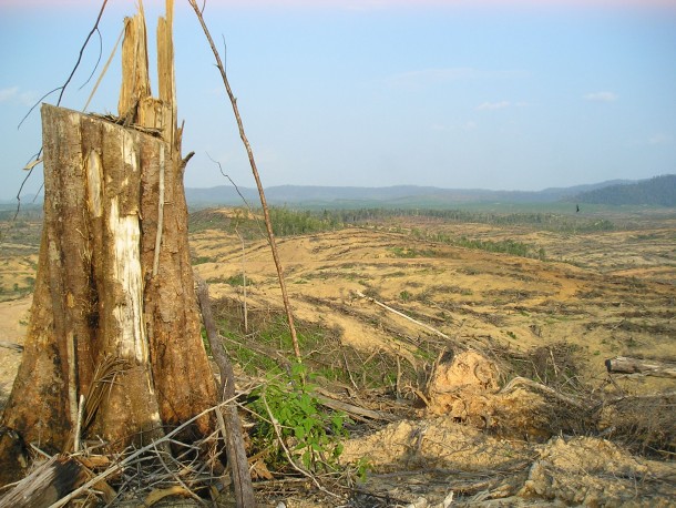 Queimadas são comuns em Sumatra