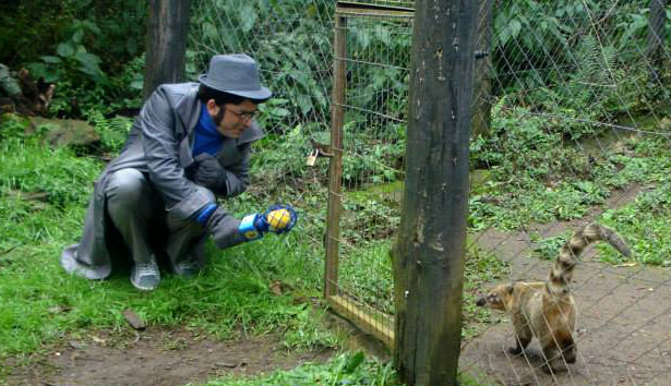 Professor Sabe Tudo (Adriano Basegio) entrevista Quatis no Zoo Gramado. Foto: Micheline Gonçalves.
