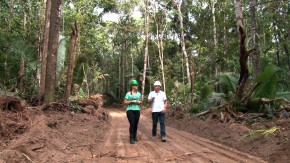 Madeireira é pioneira na implantação do Manejo Florestal na Amazônia
