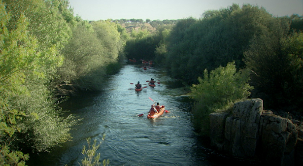 Pessoas navegam em botes por rio com vegetação à margem