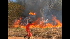A emissão de licenças para queimadas controladas no estado está proibida