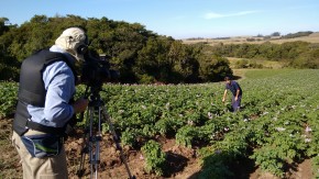 Técnica do sementeiro melhora a produtividade e a renda dos trabalhadores rurais. Foto Elise Souza