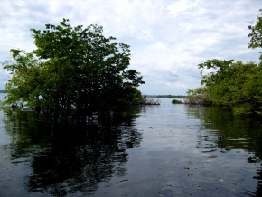 Vista do Rio Amazonas