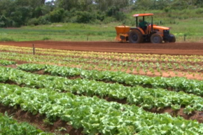 Produtor agrícola poderá contar com novo financiamento rural