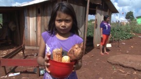 A reserva da Guarita conta com mais de 800 famílias indígenas