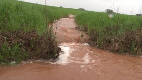 O clima chuvoso prejudica a lavoura de trigo do Rio Grande do Sul