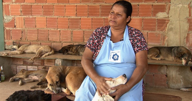 Orcilene Arruda coordena um abrigo que cuida de 500 animais. Orcilene Arruda coordena um abrigo que cuida de 500 animais.