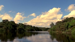 As peculiaridades de se gravar na maior floresta tropical do mundo