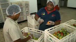Projeto Banco de Alimentos combate o desperdício de alimentos doando produtos de  qualidade