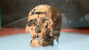 Acervo tem crânio de 10 mil anos