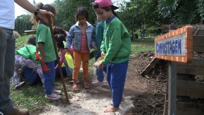 Na escola ecológica as crianças aprendem em meio à natureza