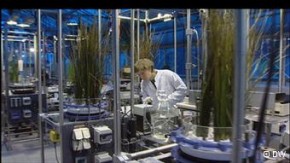 Futurando: programa mostra iniciativas bem-sucedidas para proteger o meio ambiente