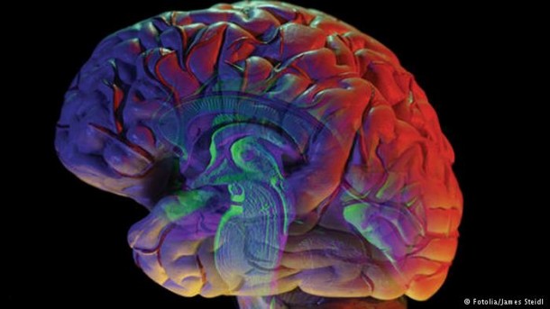 Estudo quer saber como o cérebro identifica a passagem do tempo