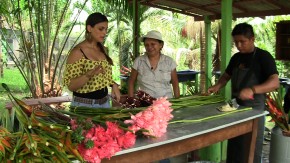 Equipe do Nova Amazônia visita a fazenda Tucandeira, pioneira no cultivo de flores tropicais na região