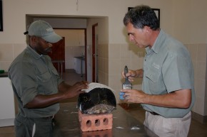 Veterinário Johan repara o casco de uma tartaruga