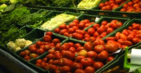 Valor do tomate aumenta e produtores comemoram a boa safra. Foto Bruno Corrêa